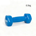 Mancuernas pequeñas de varios tamaños, azul brillante, adecuadas para uso doméstico y en el gimnasio, para fortalecer antebrazos y parte superior de los brazos, entrenamiento muscular, unisex, 0,5 kg, 1 kg, 1,5 kg, 2 kg, 3 kg, mancuernas pequeñas.