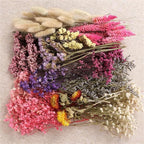 Lote de 9 - Mezcla de Flores Silvestres Secas Naturales y Adecuadas para Manualidades con Hierba de Pampas, Lavanda, Nomeolvides, Aliento - Ramos Multicolor con Tallos para Arreglos Florales DIY, Velas de Resina, Scrapbooking, Fabricación de Jabones, Tarj