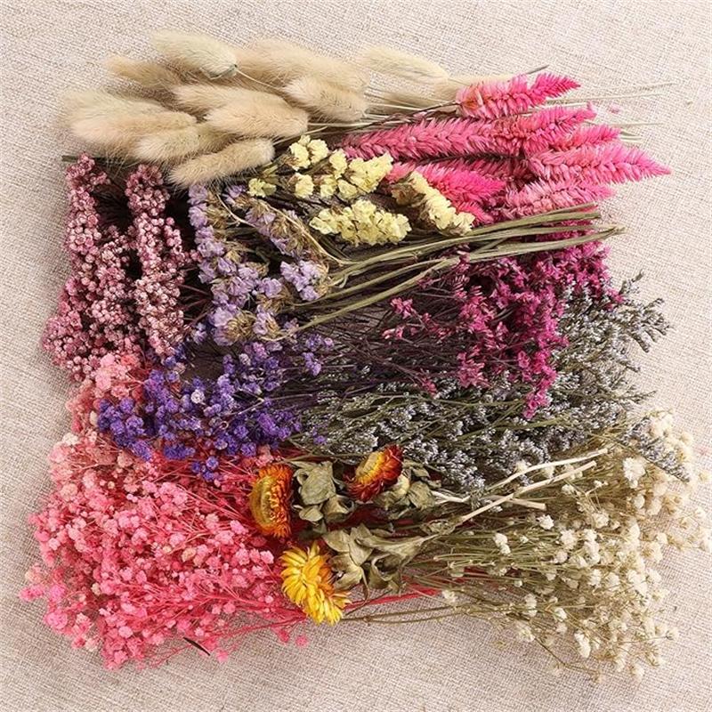 Lote de 9 - Mezcla de Flores Silvestres Secas Naturales y Adecuadas para Manualidades con Hierba de Pampas, Lavanda, Nomeolvides, Aliento - Ramos Multicolor con Tallos para Arreglos Florales DIY, Velas de Resina, Scrapbooking, Fabricación de Jabones, Tarj