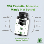 Cápsulas de Shilajit con Ácido Húmico y Minerales Traza – 1300 Mg por Dosis – 180 Cápsulas Veganas – Suplemento de Mumijo Shilajit para Adultos