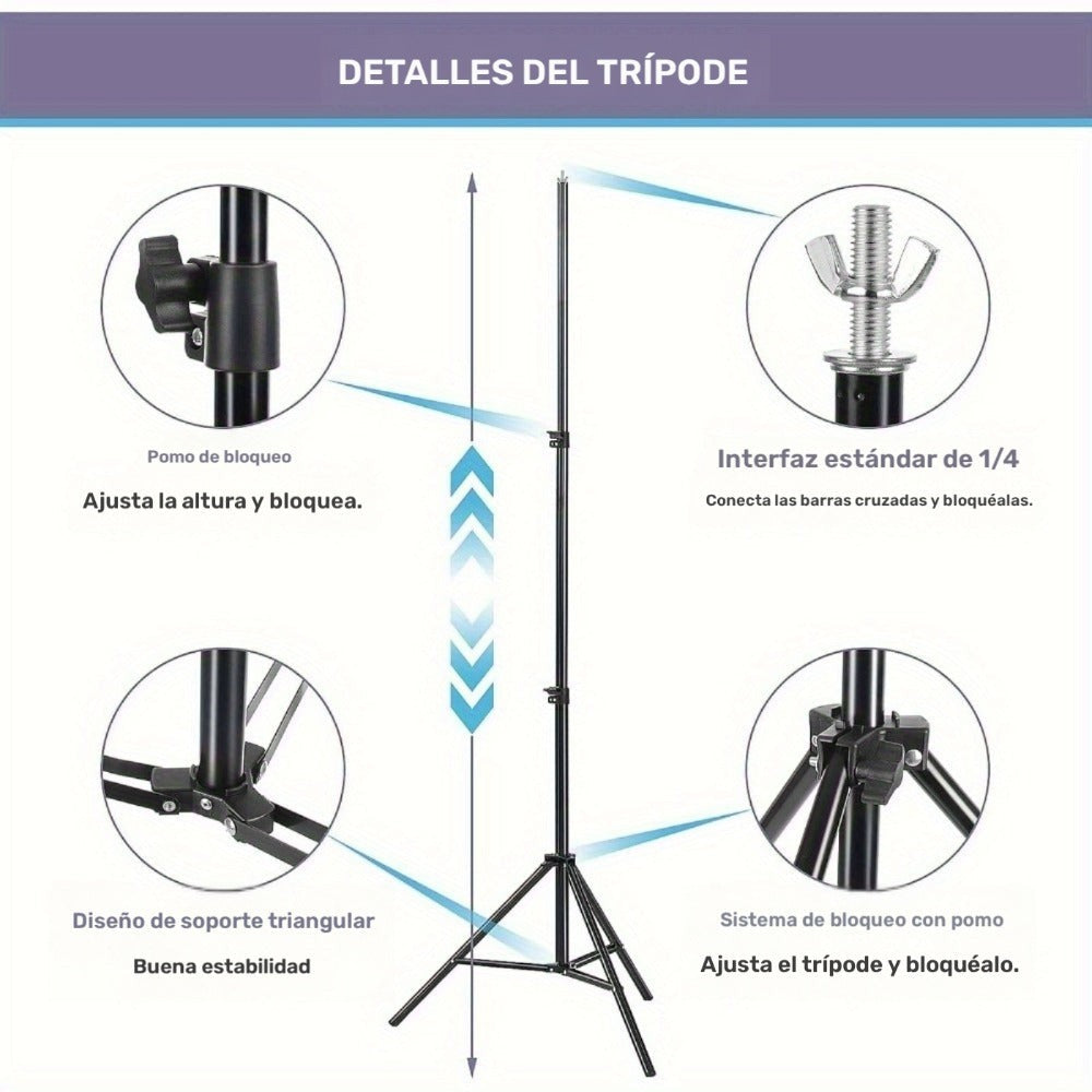 Kit de soporte de fondo ajustable para fotos con bolsa de transporte, accesorios de edificios coleccionables para decoración estacional