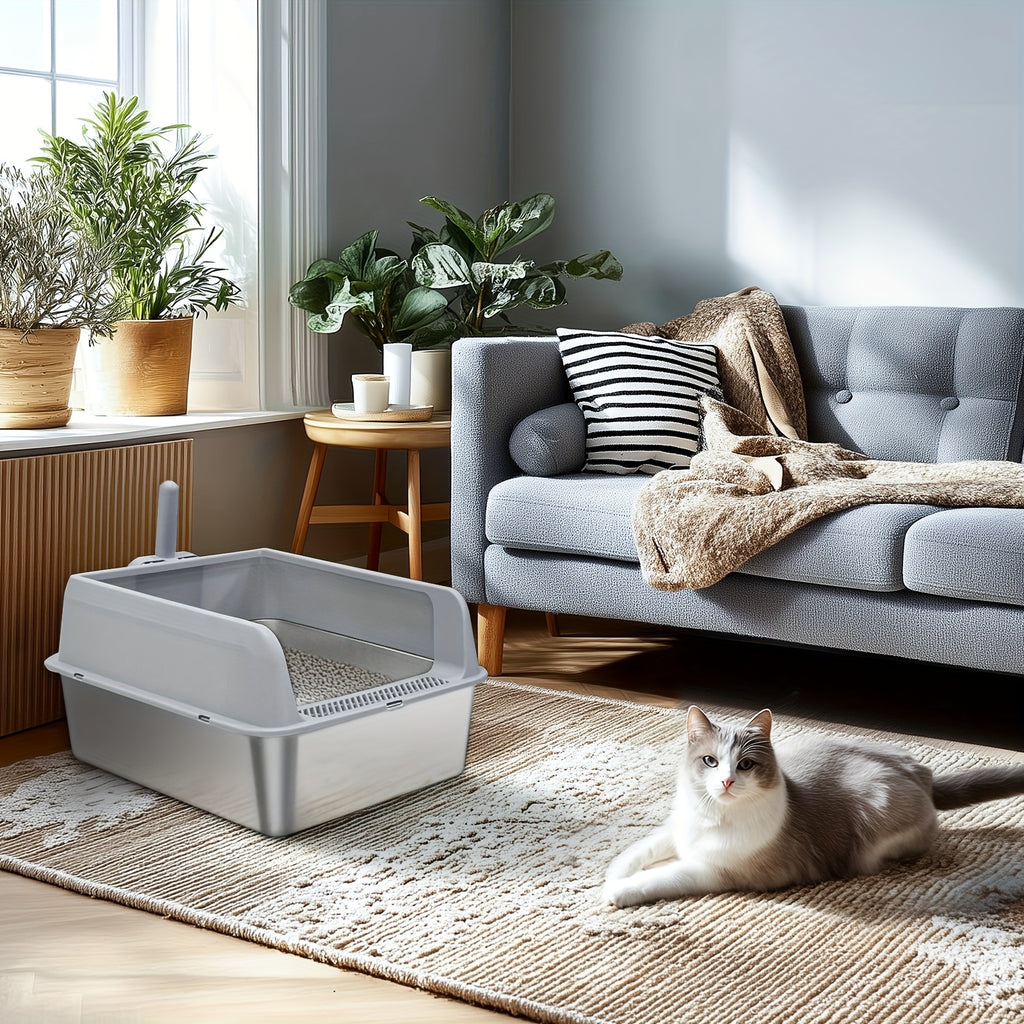 Caja de arena para gatos | Higiene interior y hogares con varios gatos