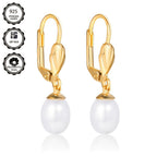 Un par de aretes de plata 925 para dama, con cierre en forma de D bañado en oro de 18k, elegantes y lujosos, adecuados para uso diario o banquetes nocturnos, regalo del Día de la Madre, empaquetados en caja de regalo