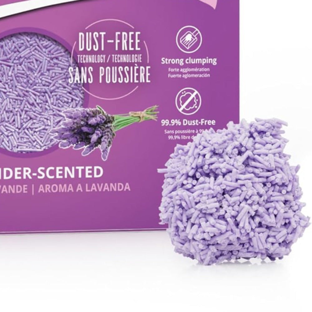 La arena para gatos se aglomera en segundos Arena para gatos para plantas Arena para gatos desodorizante, libre de polvo y sin mezclar Suministros para mascotas fáciles de almacenar