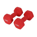 Mancuernas Fijas de Neopreno para Ejercicios en Gimnasio | Material: Hierro con Revestimiento de Vinilo | Pesas para Mujeres y Hombres