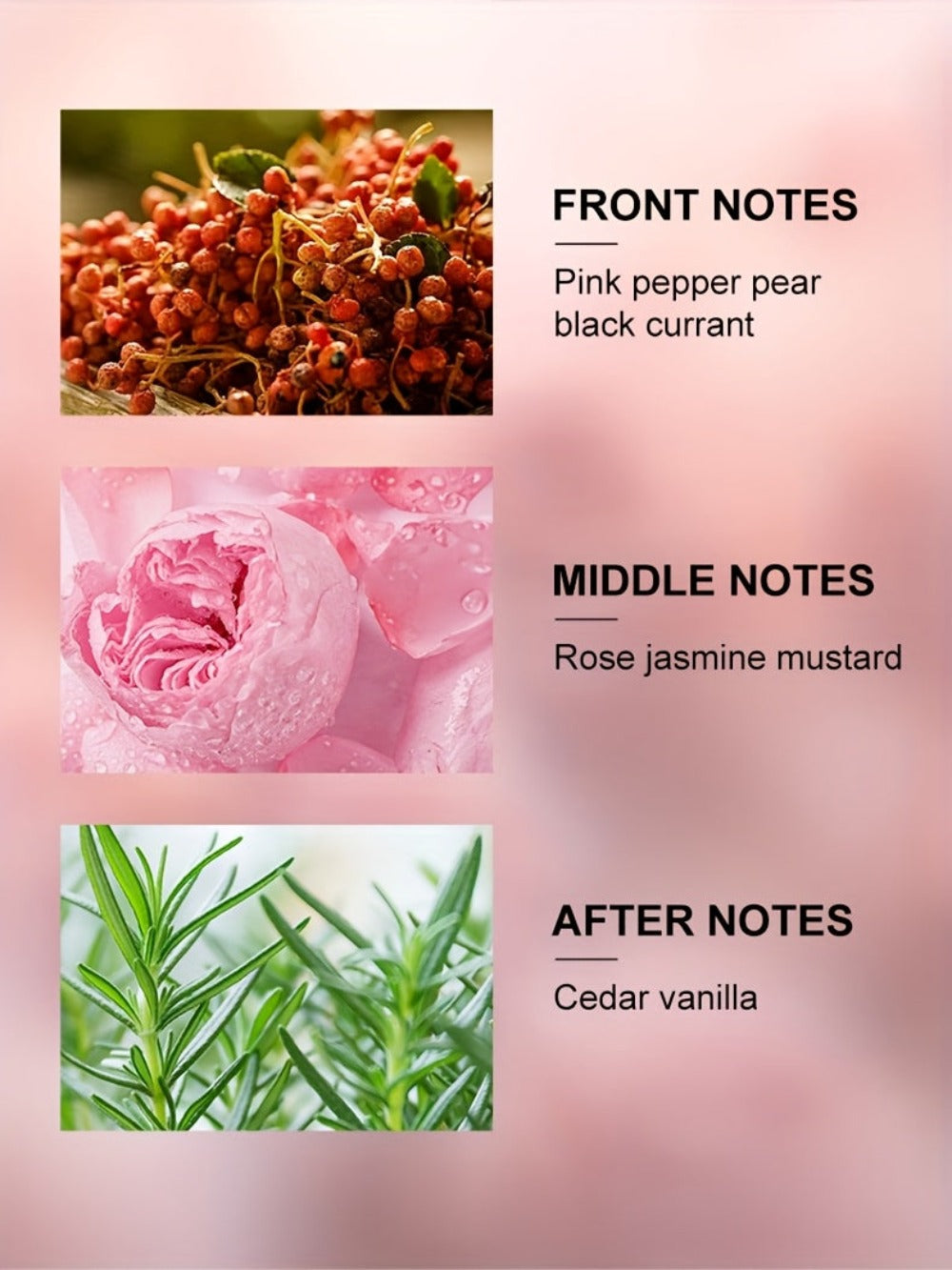 LASTAR Premium Eau De Parfum Floral - 55ml Rosa Brillante Delicado, Inspirado en Fragancias de Diseñadores de Lujo, Armonía Floral de Rosa, Jazmín y Vainilla, Enmascarar Olores, Regalos de Cumpleaños, Presentes para Fiestas