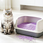 2X Arena Aglomerante para Gatos Arena de Tofu para Gatos sin Polvo Fácil de Aglomerar Controla los Olores se Lanza en el Inodoro
