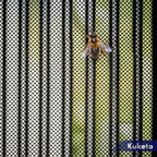 Mosquitera - Magnética Multidimensional para Puertas y Ventanas de Balcón - Mosquitera con Cierre Automático - Variantes de Ancho 80-160 Cm - Longitud 210/220 Cm - Diferentes Colores - para Hogar, Apartamento y Balcón - Protección contra Moscas y Mosquito