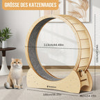 Rueda de ejercicio de madera para gatos de madera | Interior, actividad y bienestar felino