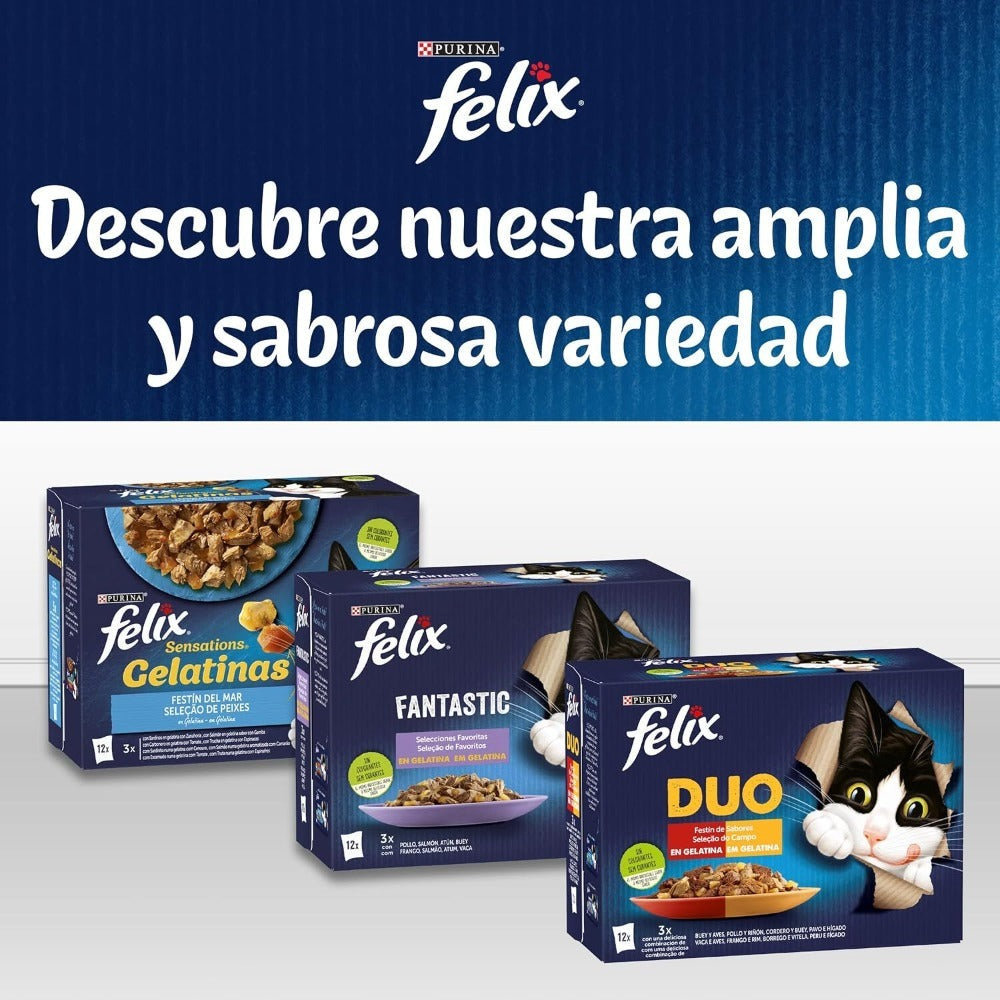 Paquete Ahorro Felix Fantastic Selecciones Favoritas en Gelatina de Pollo, Buey, Salmón y Atún