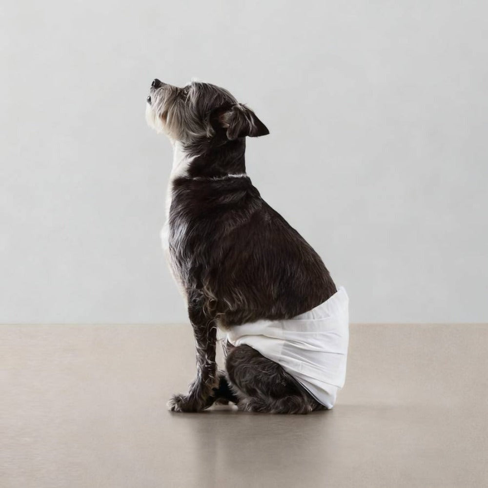 Paquete de 36 pañales desechables para perros machos, ropa interior higiénica para mascotas, suaves, absorbentes, transpirables y cómodos, disponibles en varios tamaños, XS/S/M/L, blancos.