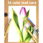 Lápices 30 piezas | Dibujo, escritura y estudio