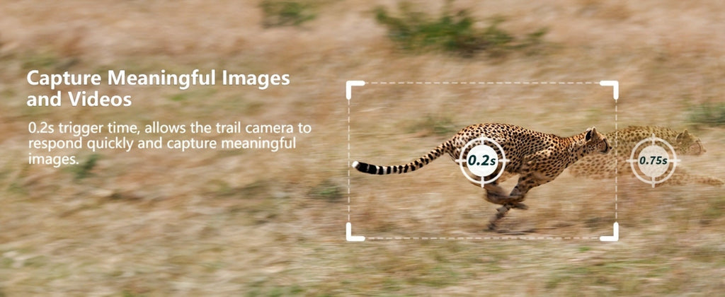 Camara Celular 4G LTE con Visualización en Tiempo Real de 2K, Tercera Generación, Función de Transmisión en Vivo, Alimentada por Energía Solar, Incluye Tarjeta SIM, Acceso Remoto a Aplicación, Reproducción de Video, Activación Instantánea y Disparo en 0.2