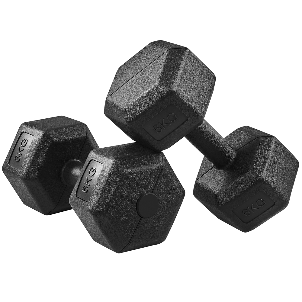 Juego de 2 Mancuernas Costoffs, Mancuernas de Hierro Fundido Hexagonales para Aeróbica, Gimnasia y Entrenamiento de Fitness
