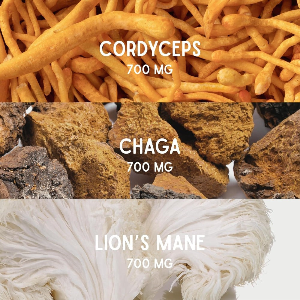 Céspedes - Hongos adaptógenos (Cordyceps, Chaga, Pelo de León) - Sabor a café, Nota de cacao - Naturalmente dulce - Sabor estable e intenso