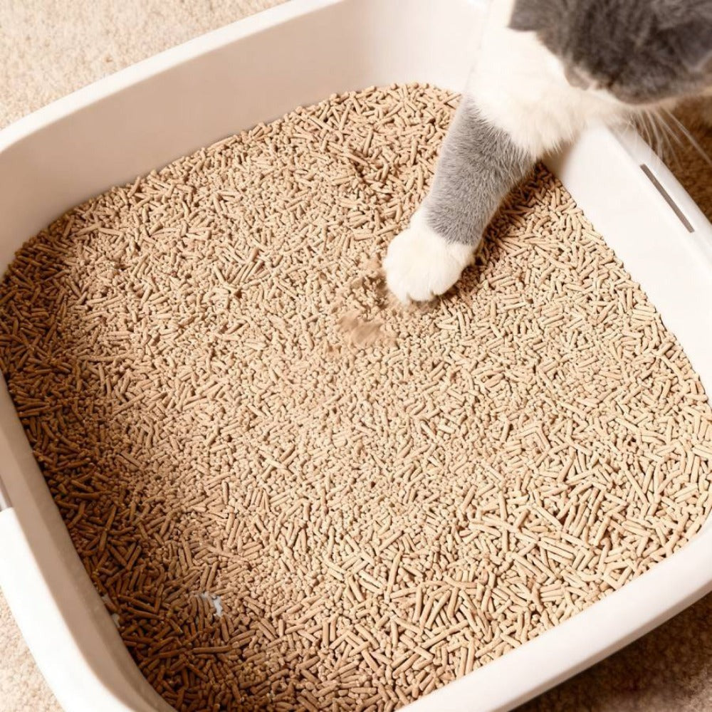 La arena para gatos se aglomera en segundos Arena para gatos para plantas Arena para gatos desodorizante, libre de polvo y sin mezclar Suministros para mascotas fáciles de almacenar