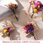 Lote de 9 - Mezcla de Flores Silvestres Secas Naturales y Adecuadas para Manualidades con Hierba de Pampas, Lavanda, Nomeolvides, Aliento - Ramos Multicolor con Tallos para Arreglos Florales DIY, Velas de Resina, Scrapbooking, Fabricación de Jabones, Tarj