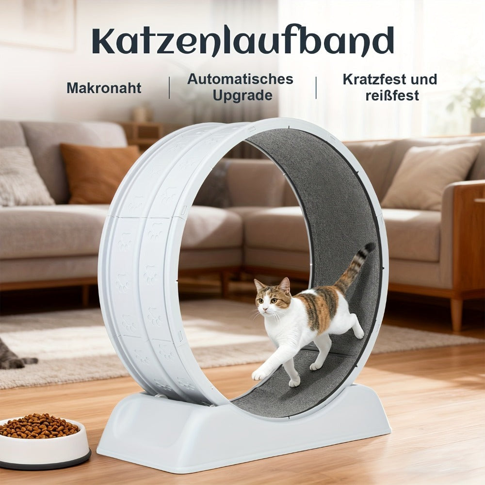 Rueda de ejercicio para gatos, trotamundos de 79 cm para gatos de interior, rueda de correr con pista alfombrada, fácil de instalar y para la salud y el fitness, adecuada para la mayoría de los gatos, rueda de plástico