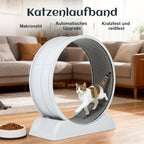 Rueda de ejercicio para gatos, trotamundos de 79 cm para gatos de interior, rueda de correr con pista alfombrada, fácil de instalar y para la salud y el fitness, adecuada para la mayoría de los gatos, rueda de plástico