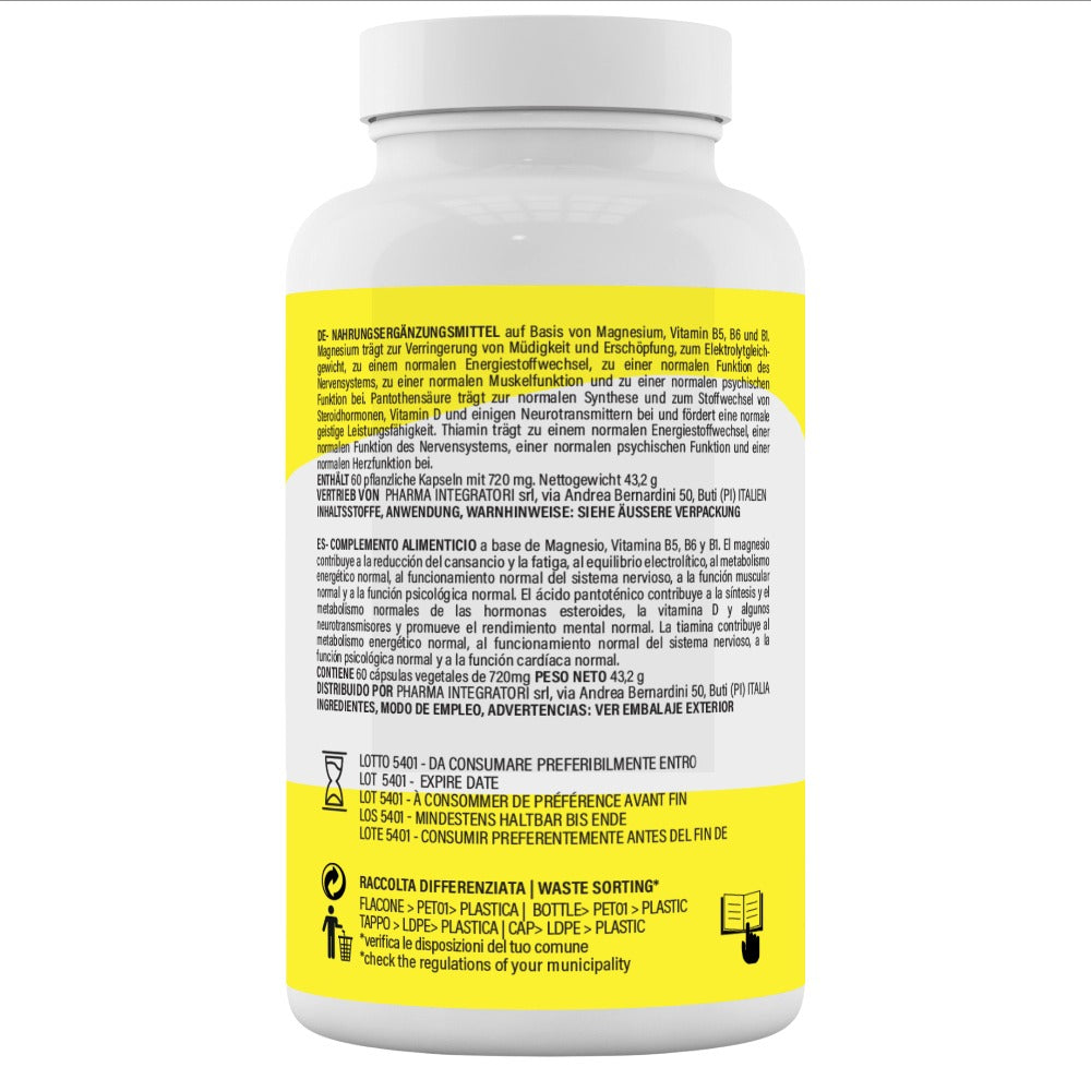 Magnesio bisglicinato con Vitamina B5, B6 y B1 – Suplemento de 60 cápsulas con 250 mg de bisglicinato de magnesio (2 meses)
