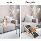 Escaleras y Rampas para Perros Plegables y Ajustables en Altura, Antideslizantes, Capacidad de Carga Hasta 80 kg, Rango de Ajuste de Altura de 30 cm a 60 cm