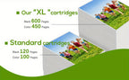 Paquete de 1-3 Cartuchos de Tinta 62XL 62 XL Compatibles con HP 62 para Envy 5540 5544 5545 5548 5640 5646 7640 Officejet 200 5740 5742 5744 (Color Negro)