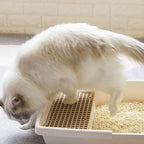 Arena para gatos de tofu, 6L, baja en polvo, sin polvo, fácil de aglomerar, desodorización de larga duración, súper absorbente, se puede tirar directamente al inodoro (original, sabor a manzana, lavanda, limón)