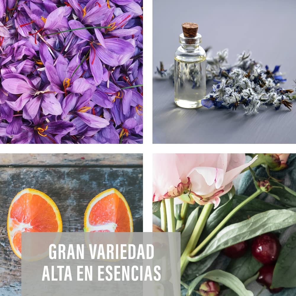 KIMIA - Ambientador de Hogar Exotic Fruits 5L | Perfumador con Fragancia Tropical Duradera | Para Cualquier Estancia de Casa, Coche, Oficina y Más | Fórmula Concentrada | Ambiente Fresco y Perfumado