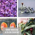 KIMIA - Ambientador de Hogar Exotic Fruits 5L | Perfumador con Fragancia Tropical Duradera | Para Cualquier Estancia de Casa, Coche, Oficina y Más | Fórmula Concentrada | Ambiente Fresco y Perfumado