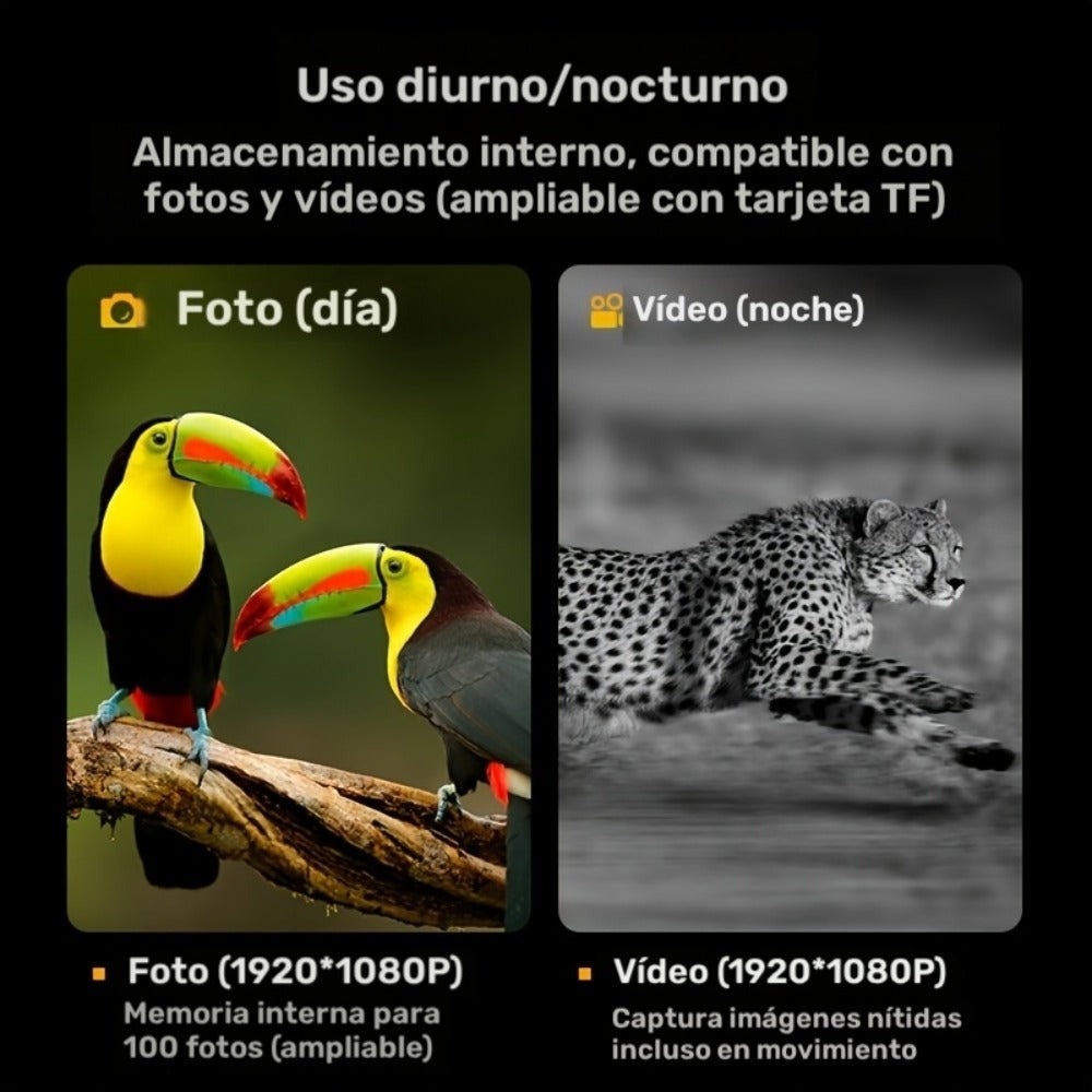 Binoculares de Visión Nocturna - Cámara con Zoom Digital 10X, Alcance de 800m, USB/Recargable, Pantalla Grande de 2.8", Binoculares HD Profesionales de Viaje de Aventura, Binoculares Portátiles Ligeros de Mano para Adultos - Ideales para Caza, Camping y V