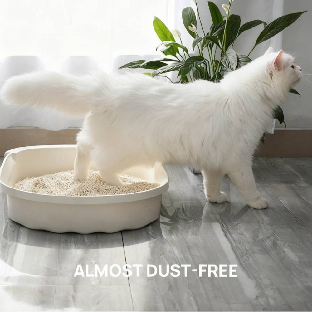 La arena para gatos se aglomera en segundos Arena para gatos para plantas Arena para gatos desodorizante, libre de polvo y sin mezclar Suministros para mascotas fáciles de almacenar