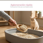4PCS Arena de Tofu para Gatos aglomera 6L - Sin Polvo Fácil de Aglomerar y Controla Olores -y Segura para Gatitos 2-2.3kg cada bolsa